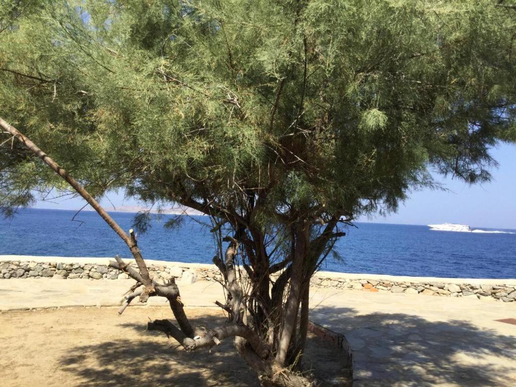Poseidon Secret Blue Pools Hotel Ornos  Exterior photo